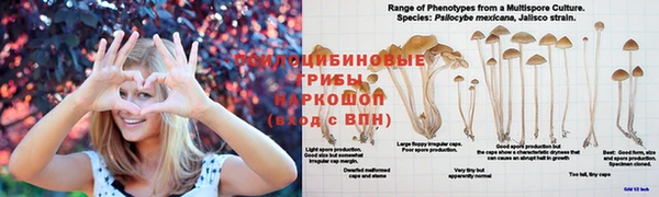 наркотики Волосово