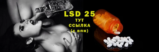 мяу мяу мука Верхнеуральск