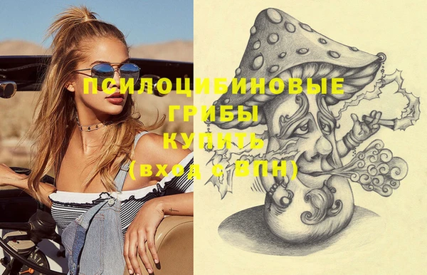 MDMA Верхний Тагил