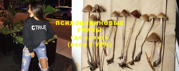 мяу мяу мука Верхнеуральск