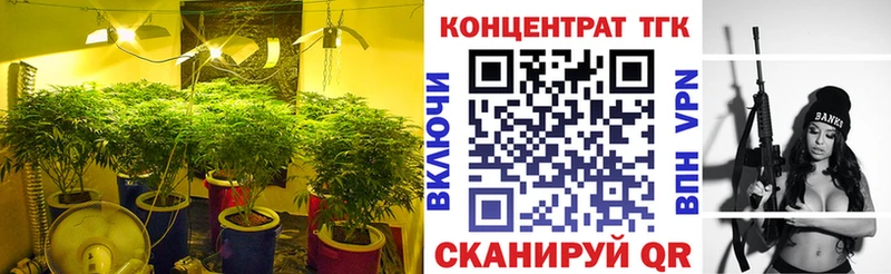 дарнет шоп  Галич  mega маркетплейс  ТГК вейп 